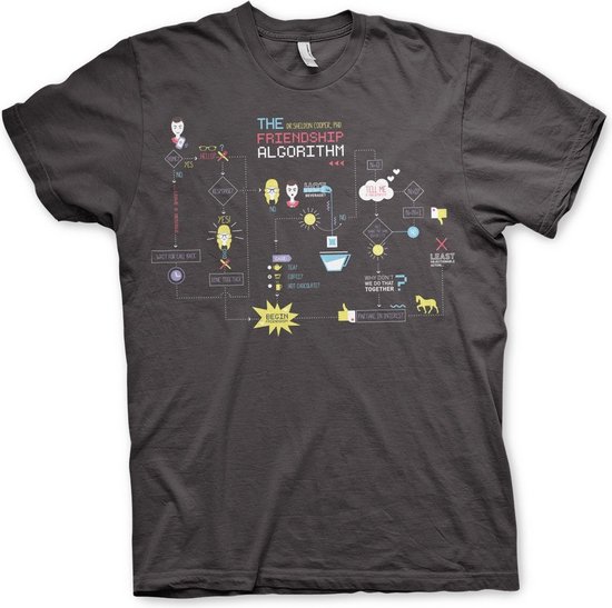 Foto: The big bang theory heren tshirt xl the friendship minions algorithm grijs