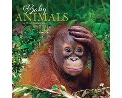 Baby Dieren Kalender 2026