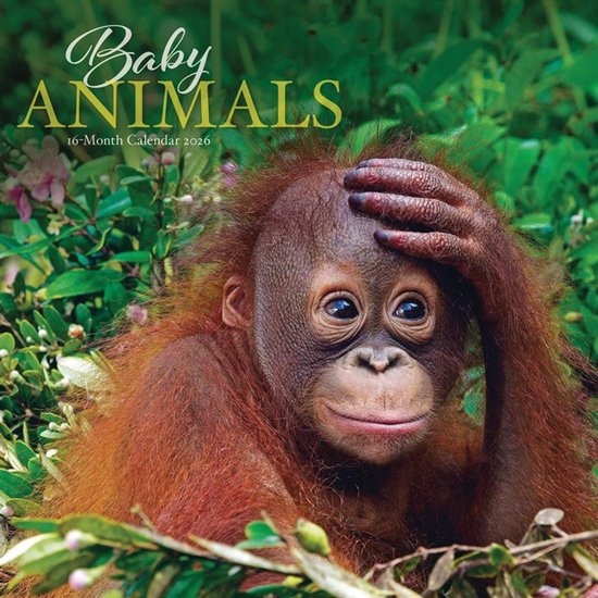 Baby Dieren Kalender 2026