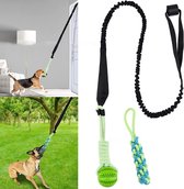 Honden touwtrekken bal