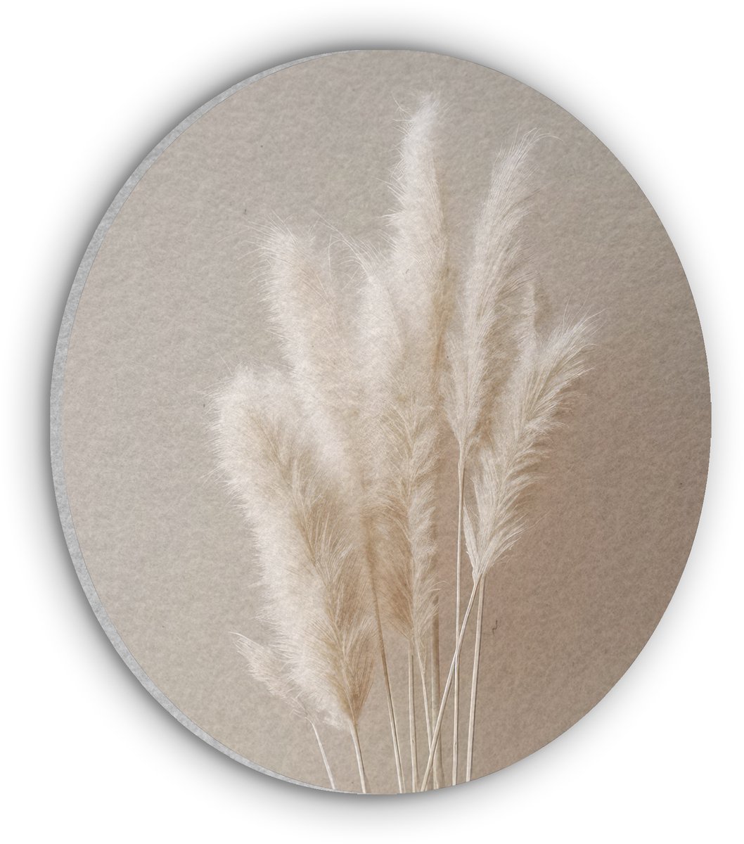 Akoestisch wandpaneel rond 30x30 cm - Vilt schilderij Pampasgras - Pluimen - Pastel - Wit - Ronde akoestische panelen - Geluidsdempende wanddecoratie - Geluidsisolatie wandcirkel - Muurdecoratie geluidspanelen