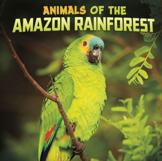 Animals of the Amazon Rainforest - cover