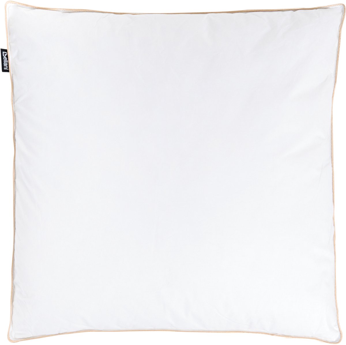 BELIANI ETNA - Hoofdkussen 3 vakken - Wit - 80 x 80 cm - Laag - Eendenveren