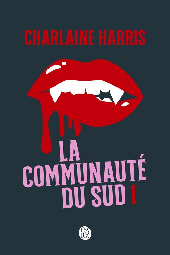 La communauté du Sud 1 - La communauté du Sud (Tome 1) - Quand le danger rôde
