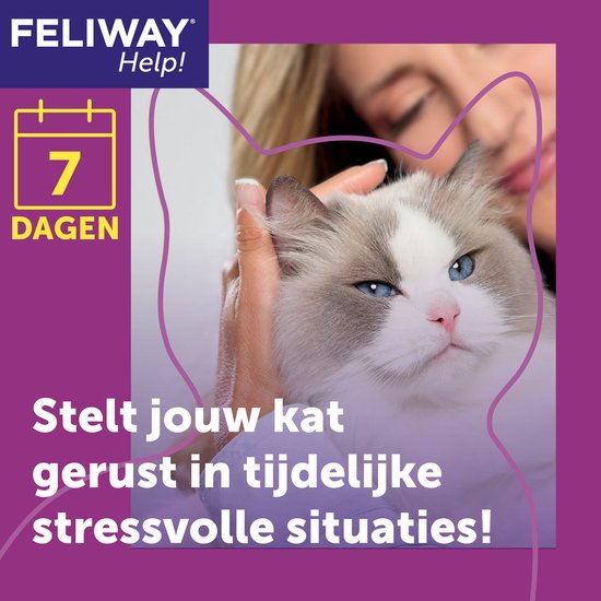 Een persoon streelt een Ragdoll kat. "Stelt jouw kat gerust in tijdelijke stressvolle situaties!". "7 dagen".