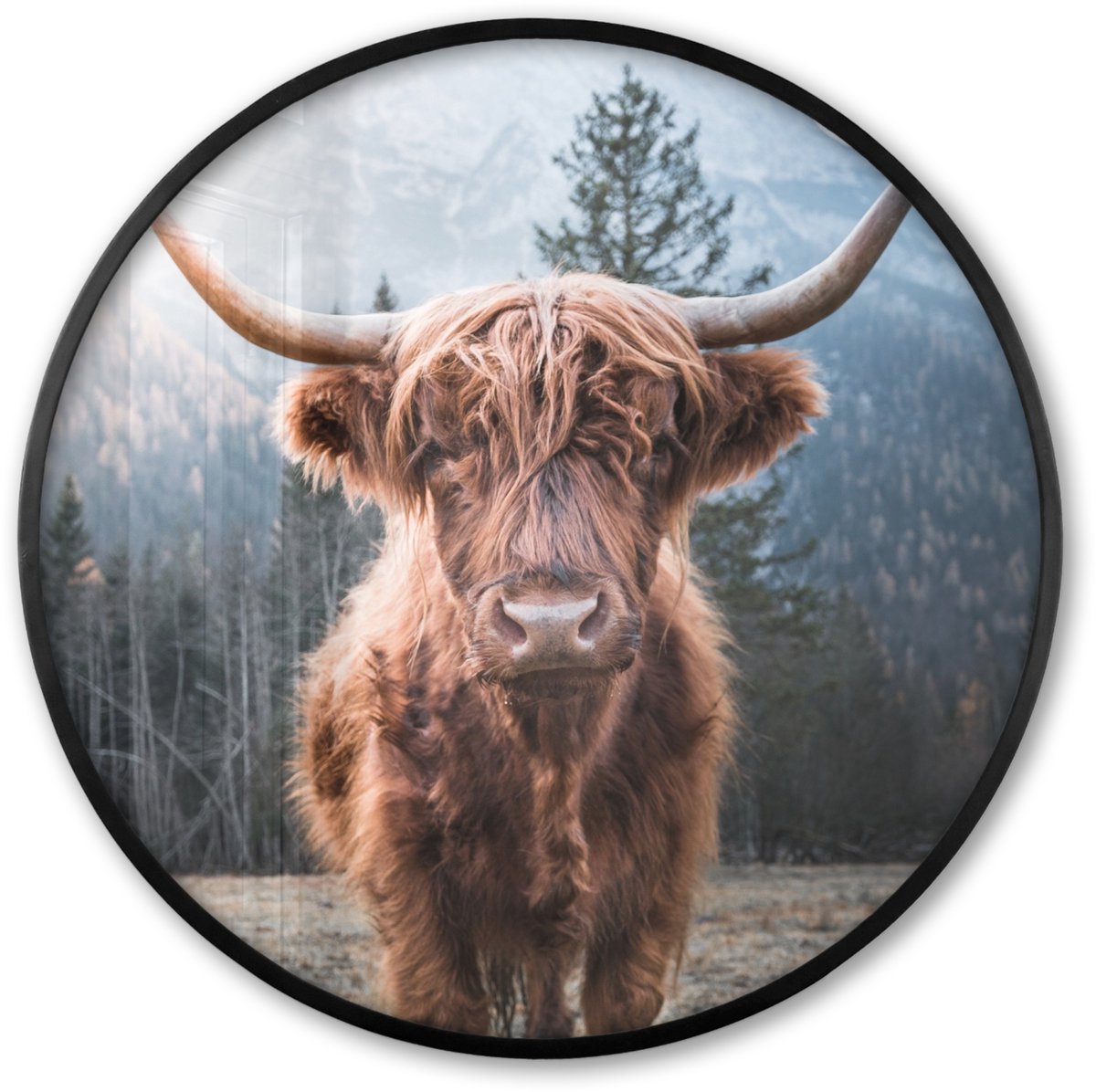FrameYourWall Poster in lijst Rond - Fotolijst 60x60 cm - Posters - Schotse hooglander - Koe - Dieren - Berg - Natuur - Ronde posterlijst zwart - Decoratie - Wanddecoratie woonkamer - Muurdecoratie slaapkamer Schotse Hooglander - Bergen