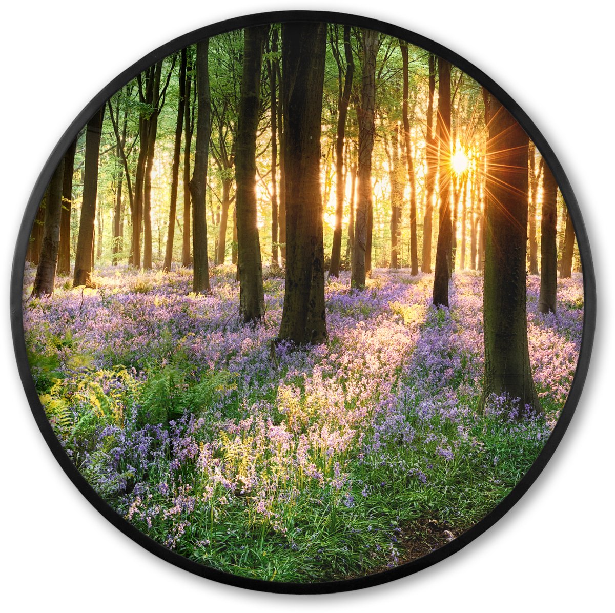 FrameYourWall Poster in lijst Rond - Fotolijst 60x60 cm - Posters - Bos - Bloemen - Lavendel - Zon - Paars - Natuur - Ronde posterlijst zwart - Decoratie - Wanddecoratie woonkamer - Muurdecoratie slaapkamer Groen