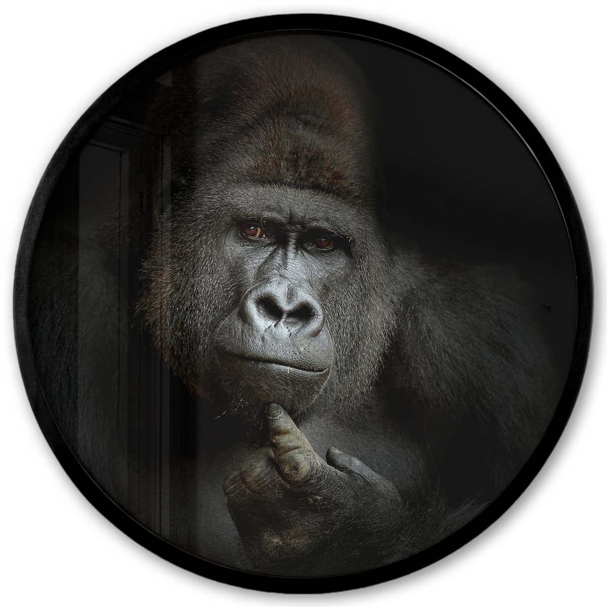 FrameYourWall Poster in lijst Rond - Fotolijst 40x40 cm - Posters - Gorilla - Aap - Dieren - Zwart wit - Ronde posterlijst zwart - Decoratie - Wanddecoratie woonkamer - Muurdecoratie slaapkamer Multicolor