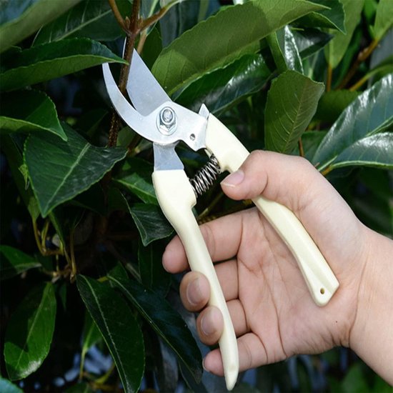 Premium Pruning Shears - Durable Garden Pruner - Roestvrij Lemmet & Ergonomisch Ontwerp - 2 Stuks - Tuin & Bonsai - Zwart van Merkloos	 — afbeelding 5