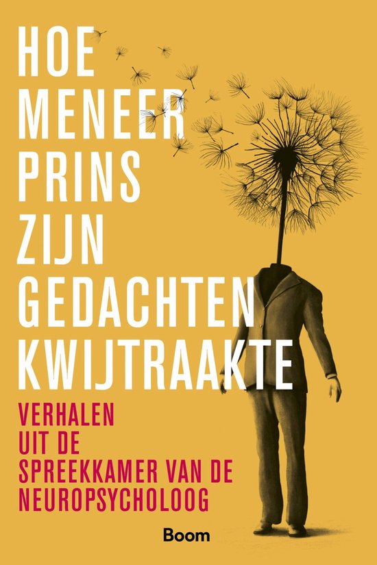 Hoe meneer Prins zijn gedachten kwijtraakte - cover