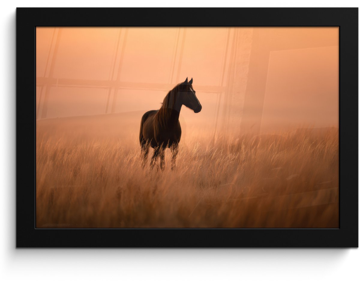 FrameYourWall Poster in lijst - Fotolijst 30x20 cm - Posters - Paard - Grasveld - Zonsondergang - Posterlijst zwart - Decoratie - Wanddecoratie woonkamer - Muurdecoratie slaapkamer