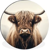 WallCircle - Cercle Mural - Cercle Mural - Highlander Écossais - Cornes - Paysage - Aluminium - Dibond - 90x90 cm - Intérieur et Extérieur