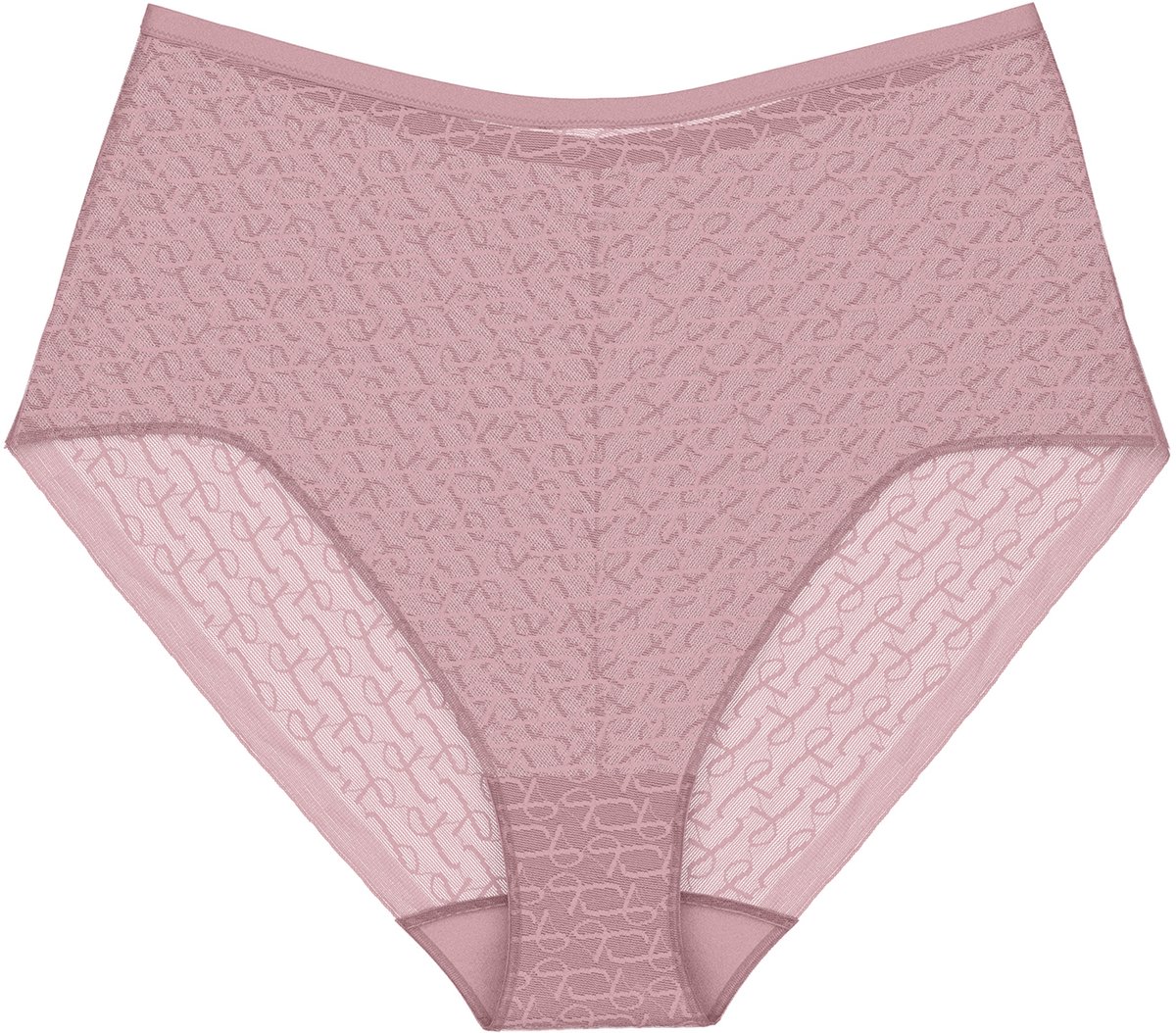 Triumph Maxislip Red Label Signature Sheer