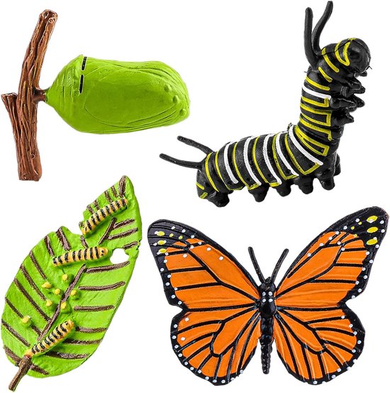 Butterfly Life Cycle Figuren - 4 Stuks - Dierlijke Groei Cyclus Model - Realistische Insecten - Educatie - Groei Fase Model - Plastic Insecten Beetle