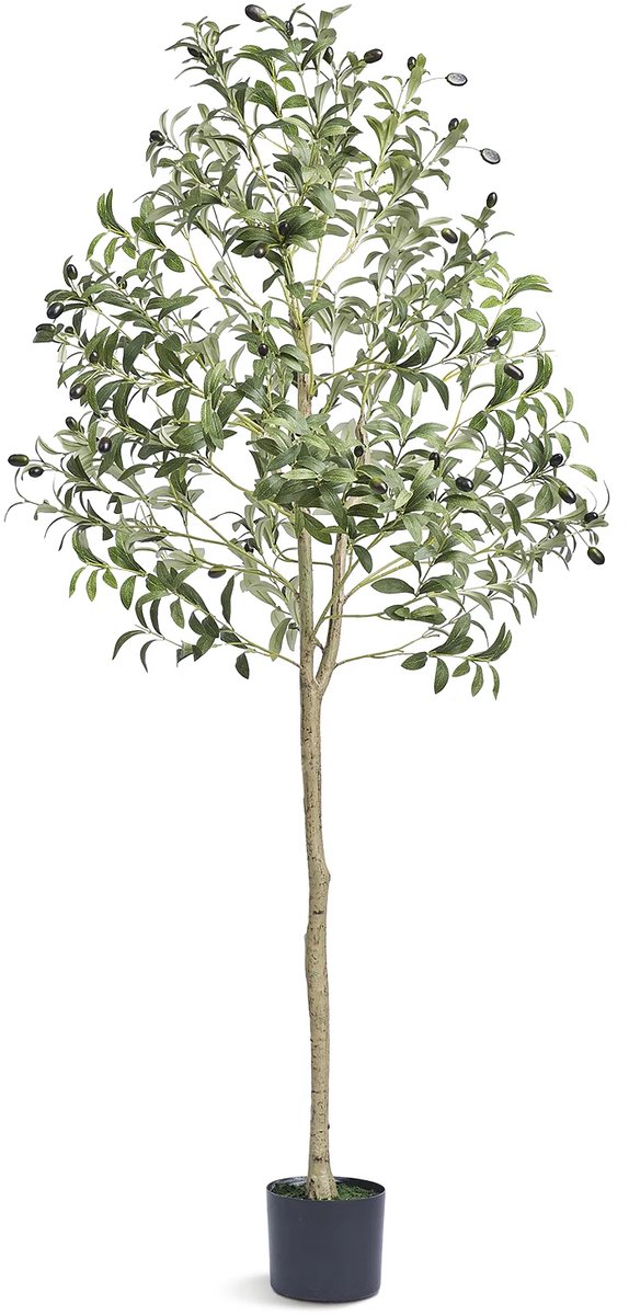 Studio Lyma Kunst olijfboom - Olijfboom kunstplant - 150 cm hoog - Zeer realistisch - Grote kunstplant