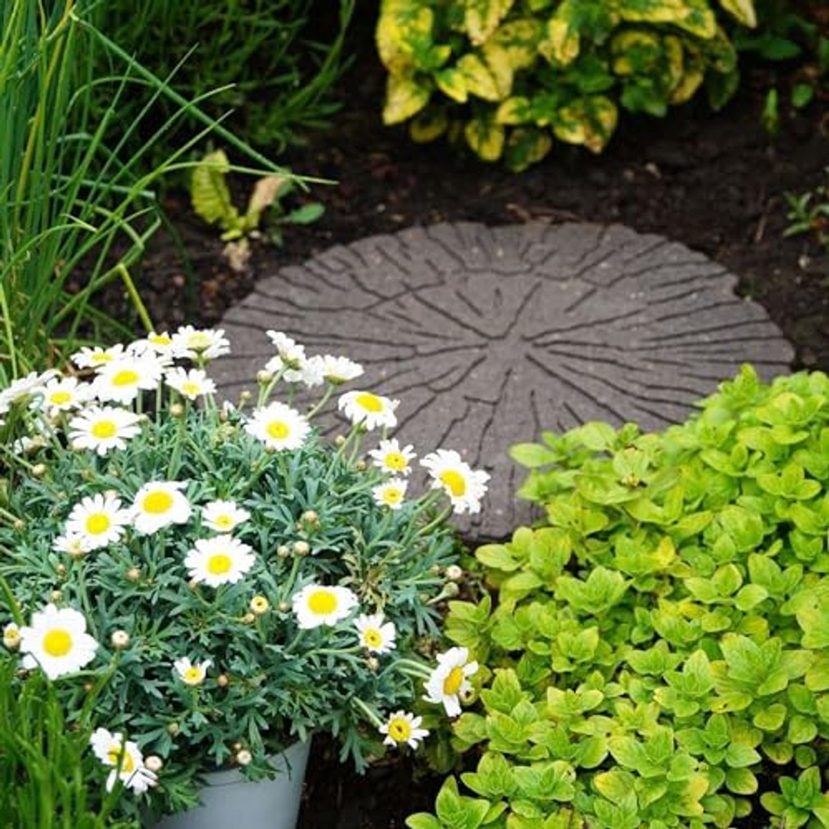 Ronde Tuin Opstapsteen 45,7 cm - Gerecycled Rubber, Omkeerbaar en Duurzaam