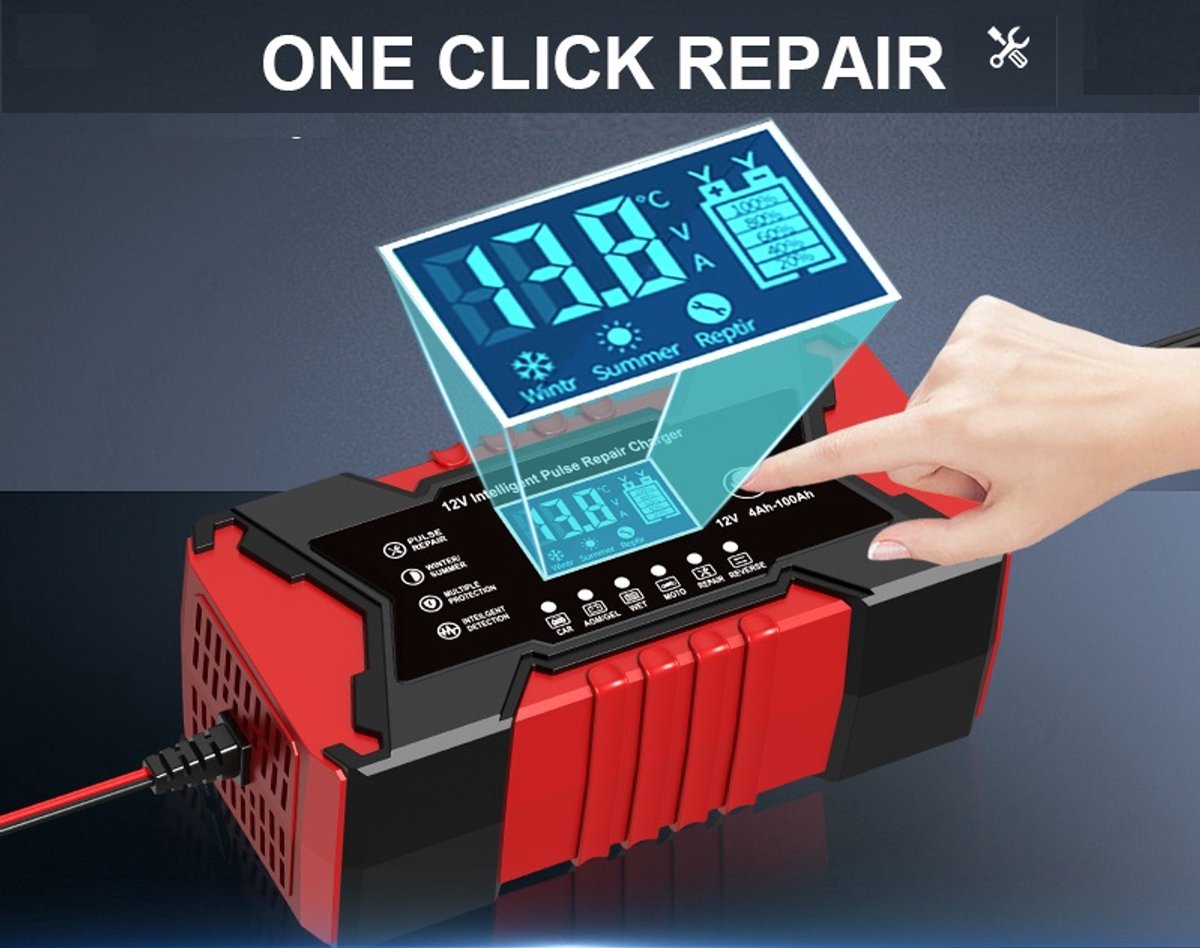 Strex Acculader 12/24V 4/6/8A Reparatiemodus Druppellader Accu Lader Voor Auto Motor Scooter Boot Camper 565985864