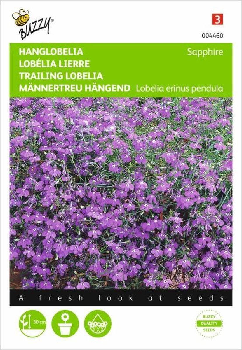 Tuinlobelia Saphir - Lobelia pendula