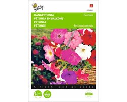 Buzzy zaden - Hangpetunia - Petunia pendula