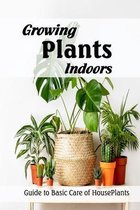 Growing Plants Indoors: Guide to Basic Care of HousePlants