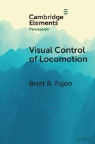 Samenvatting Visual Control of Locomotion,   Waarnemen En Bewegen