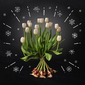 Boeket van 15 Witte Tulpen met Bol - van BOLT Amsterdam - Vers, direct uit eigen kwekerij - Met de hand gebonden - Gratis thuis bezorgd - Exlusieve kwaliteit