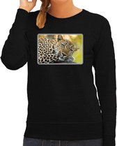 Dieren sweater met jaguars foto - zwart - voor dames - natuur / jaguar cadeau trui - kleding / sweat shirt L