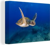 Canvas Schilderij Een groene schildpad zwemt in blauw water - 120x90 cm - Wanddecoratie