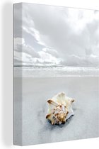 Coquille sur une plage blanche 30x40 cm - petit - Tirage photo sur toile (Décoration murale salon / chambre)