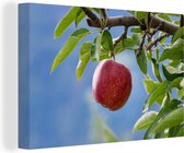 Canvas Schilderij Appel - Fruit - Boom - 90x60 cm - Wanddecoratie