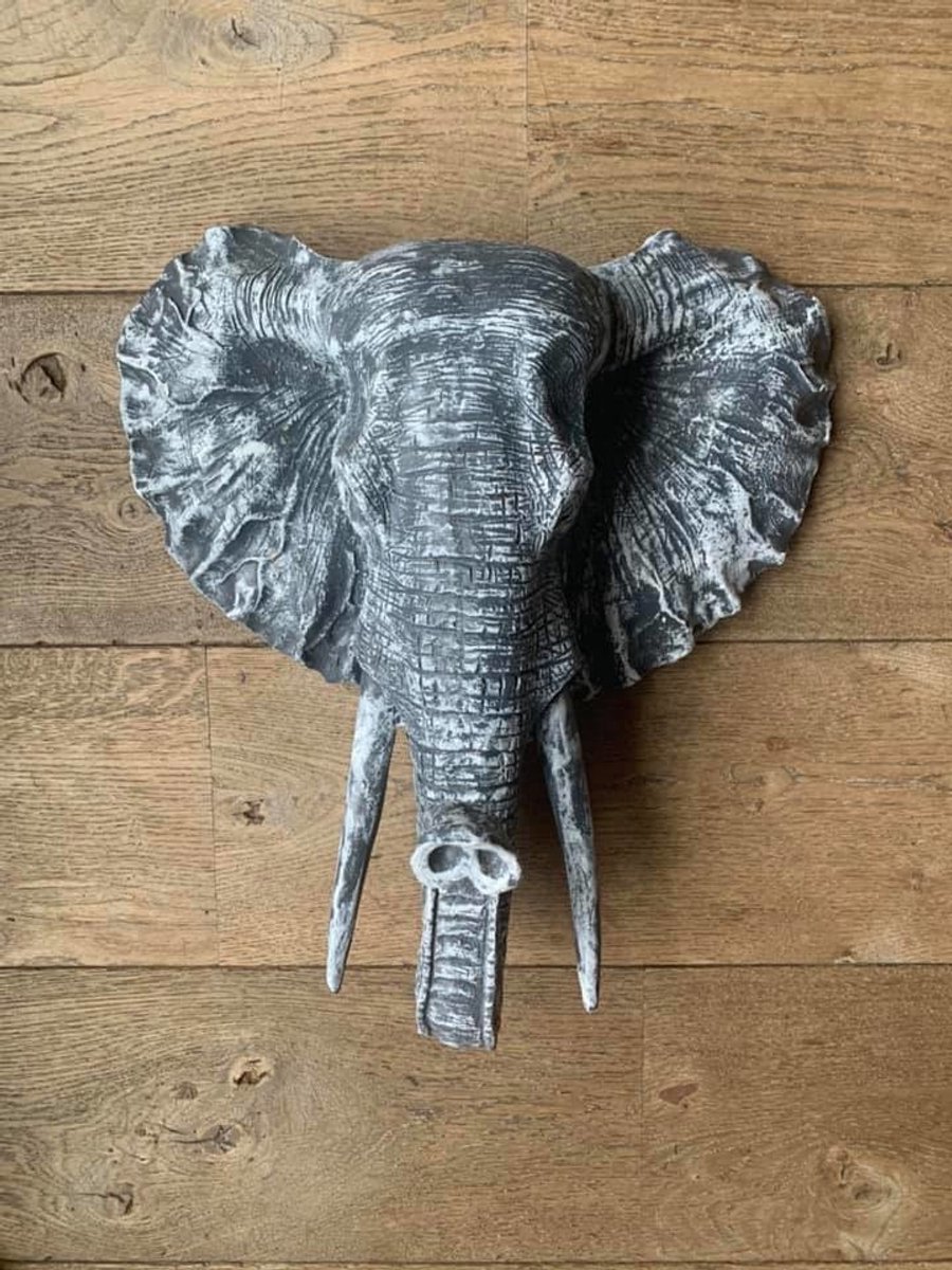 Olifant grijs