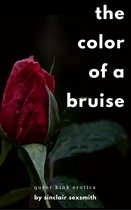 The Color of a Bruise: Queer Kink Erotica