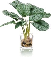 Kunstplant Calathea 39 cm in glas