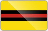 Vlag gemeente Woudenberg - 70 x 100 cm - Polyester