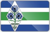 Vlag gemeente Blaricum - 150 x 225 cm - Polyester