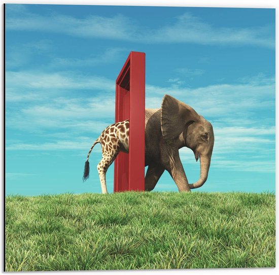 Dibond - Giraffe door Deur als Olifant - 50x50cm Foto op Aluminium (Wanddecoratie van metaal)