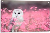 Tuinposter – Witte Uil in Roze Bloemenveld - 90x60cm Foto op Tuinposter  (wanddecoratie voor buiten en binnen)