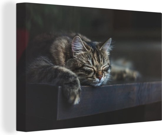 Canvas Schilderijen - Kat ligt op een zwarte tafel te slapen - Wanddecoratie