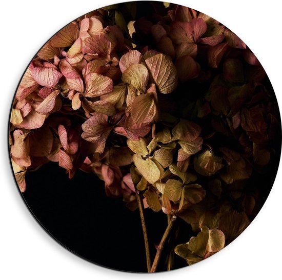 Dibond Wandcirkel - Foto van Roze Hortensia Plant - Foto op Aluminium Wandcirkel (met ophangsysteem)