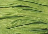 Raffia Folia 50gr. groen -
