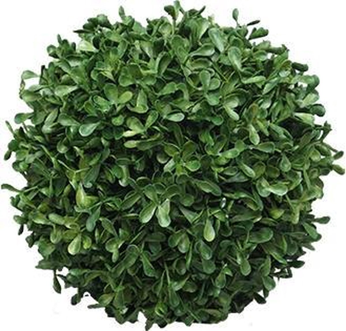 Erutan avon Box Princeville ball 20 cm kunstplant Erutan Avon Groen