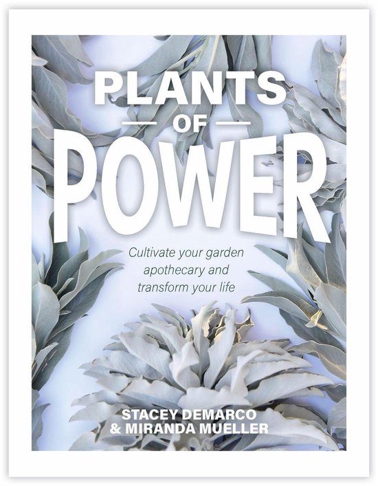 Plants of Power - cover