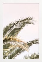 JUNIQE - Poster in houten lijst Oasis Palm 3 -60x90 /Groen