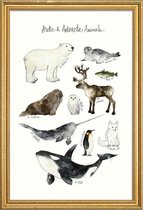 JUNIQE - Poster met houten lijst Pooldieren illustratie -60x90 /Ivoor