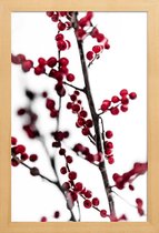 JUNIQE - Poster in houten lijst Red Berries 1 -60x90 /Rood & Wit