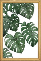 JUNIQE - Poster met houten lijst Monstera plant -13x18 /Groen & Wit