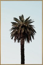 JUNIQE - Poster met kunststof lijst Palmtree -30x45 /Bruin & Groen