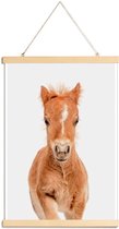 JUNIQE - Posterhanger Veulen -20x30 /Bruin