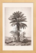 JUNIQE - Poster in houten lijst Sago Palm -20x30 /Grijs & Ivoor