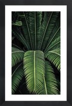 JUNIQE - Poster in houten lijst Schaduwrijke bladeren -40x60 /Groen